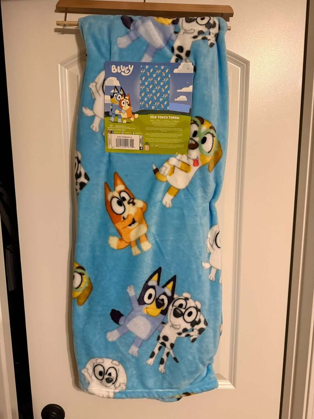 Bluey Afternoon Fun Silk Touch Throw Blanket 50in x 70in